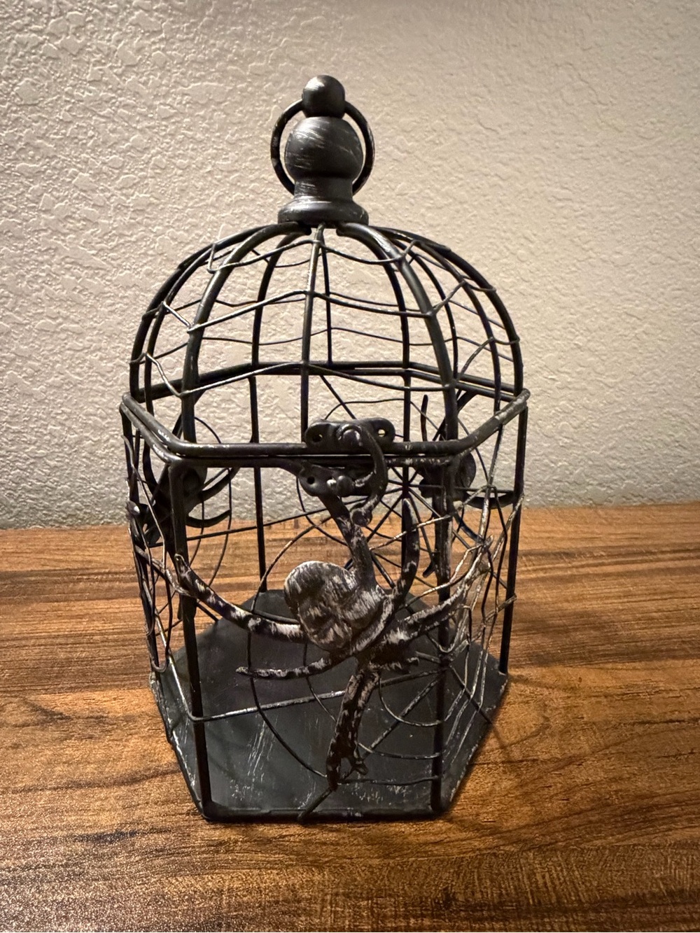 Decorative Black Distressed Metal Birdcage Accent with Spider Web Motif